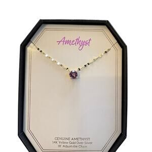 Amethyst necklace with 14k gold 18” chain